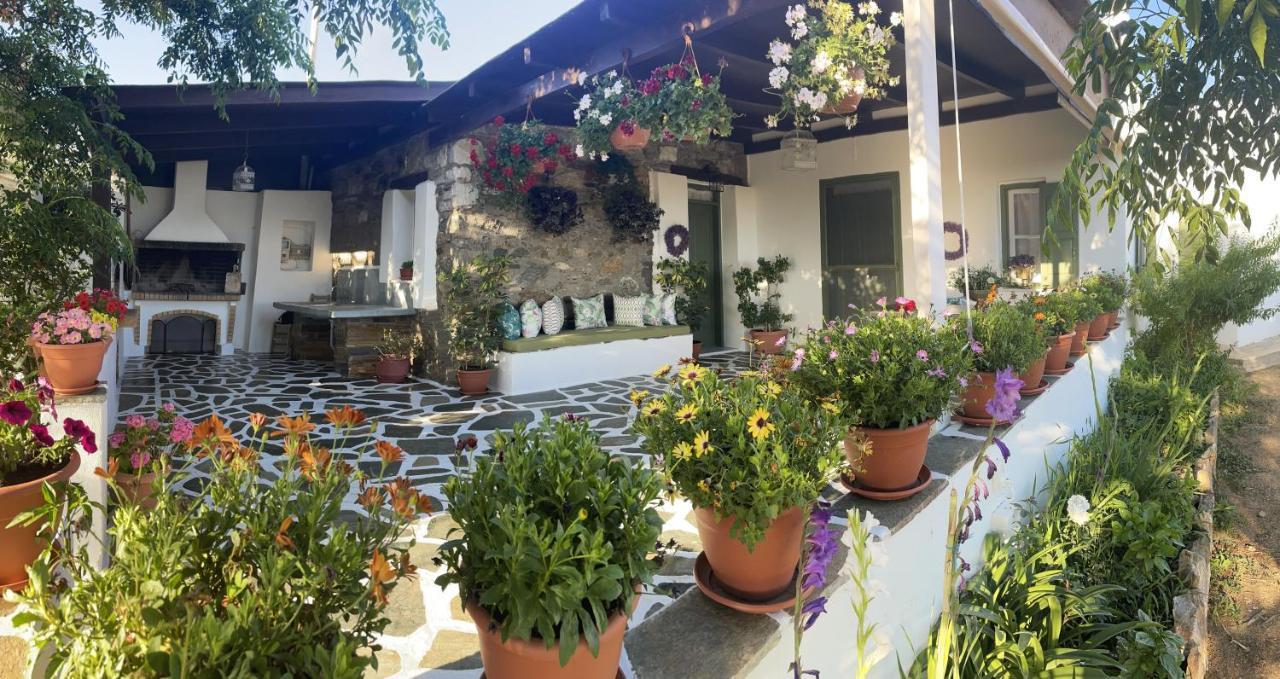 Ktima Dimitrios Villa Naxos City Exterior foto