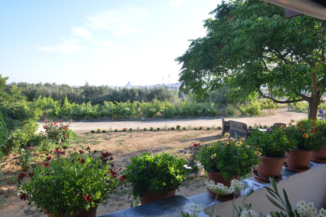 Ktima Dimitrios Villa Naxos City Exterior foto