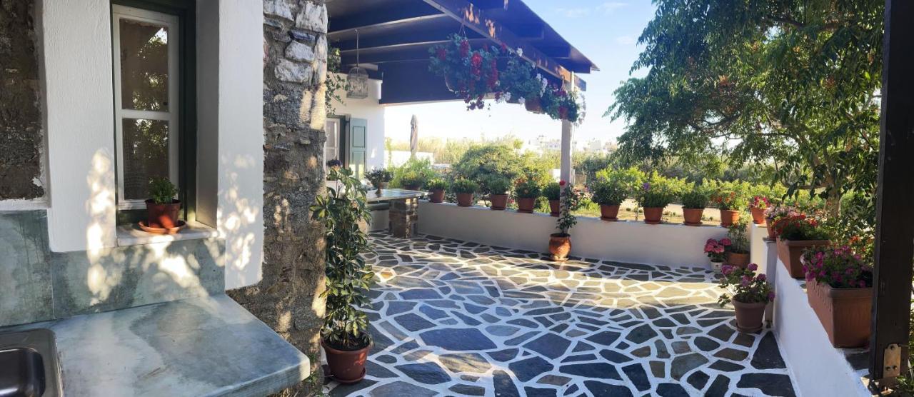 Ktima Dimitrios Villa Naxos City Exterior foto